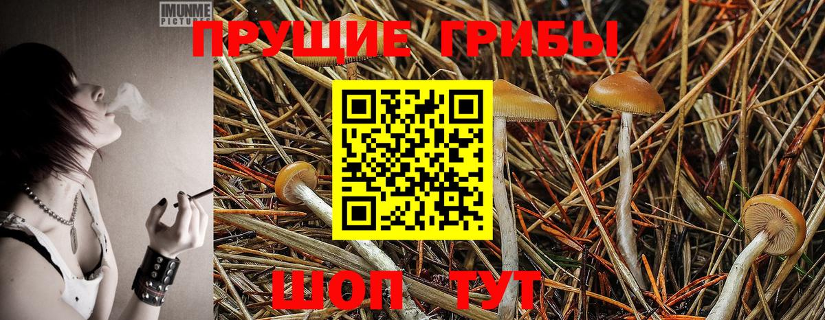Псилоцибиновые грибы ЛСД  Вход с VPN  Александров 